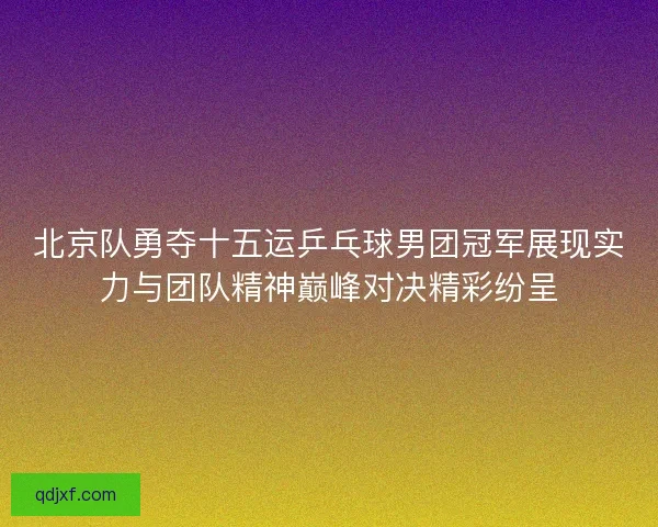 北京队勇夺十五运乒乓球男团冠军展现实力与团队精神巅峰对决精彩纷呈