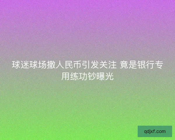 球迷球场撒人民币引发关注 竟是银行专用练功钞曝光