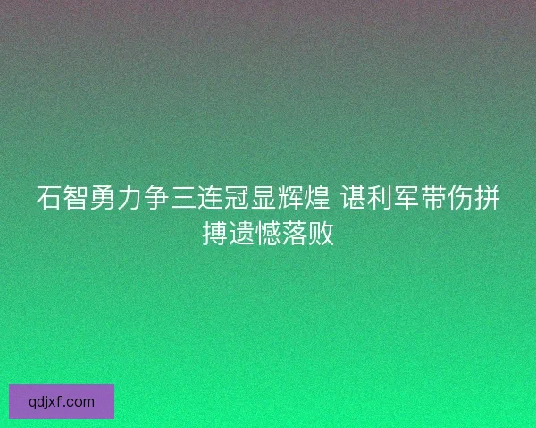 石智勇力争三连冠显辉煌 谌利军带伤拼搏遗憾落败