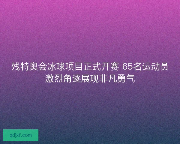 残特奥会冰球项目正式开赛 65名运动员激烈角逐展现非凡勇气